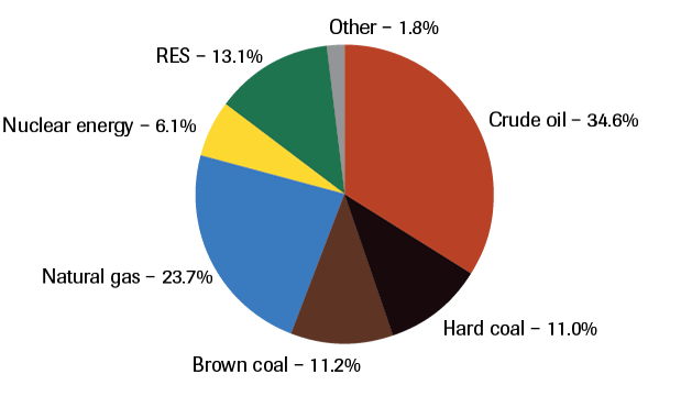 primary-energy-consumption-in-germany-in-2016-13500-pj-in-total_6220.png