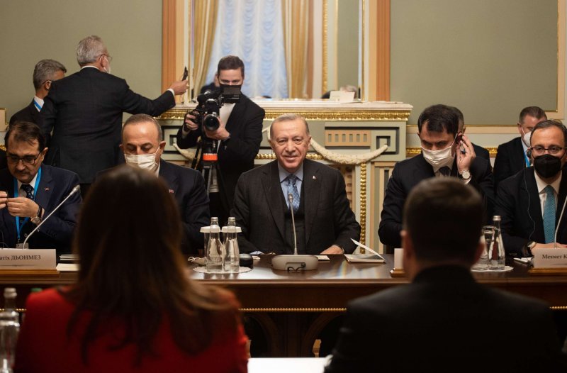Turkey’s dream of a hub. Ankara’s wartime gas policy