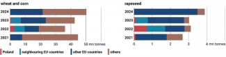 Chart 4. Recipients of rapeseed and selected types of grain from 2021–2024