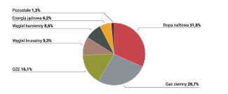 Wykres 1. Struktura zużycia energii pierwotnej w Niemczech w 2021 r.
