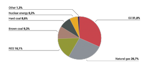 Chart 1. The structure of Germany’s primary energy consumption in 2021