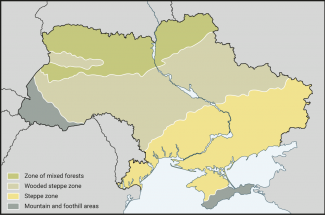 Top 10+ worlds bread basket 1 The breadbasket of the world?