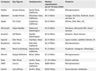 Appendix. The largest US technology companies