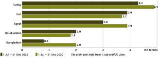 Main importers of cereals from Russia