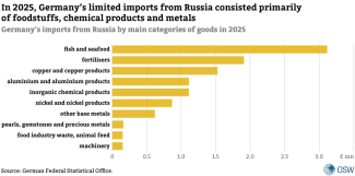 Germany’s imports from Russia by main categories of goods in 2025