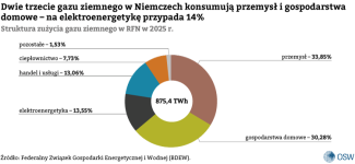 Wykres 3. Struktura zużycia gazu ziemnego w RFN w 2025 r.