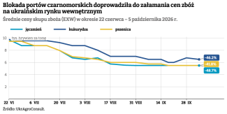 ceny skupu zboża 5 października