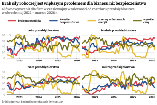 problemy_przedsiebiorstw_calosc
