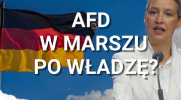 AfD w marszu po władzę? Partia po ważnym zjeździe