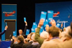 AfD – the alternative for whom? AfD – the alternative for whom?