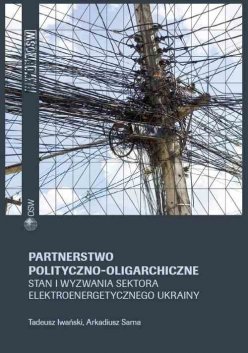 Partnerstwo polityczno-oligarchiczne Partnerstwo polityczno-oligarchiczne