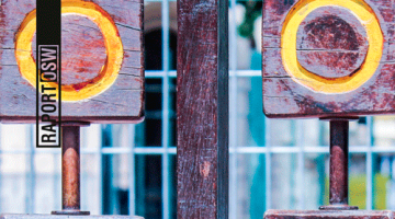 Dwuznaczne partnerstwo. Rosja i Turcja między rywalizacją a współpracą