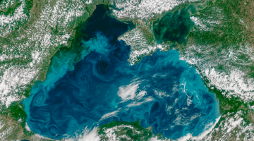 Satellite picture of the Black Sea