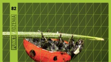 Okładka raport "Marsz linoskoczka. Polityka gospodarcza Turcji w obliczu kryzysu"